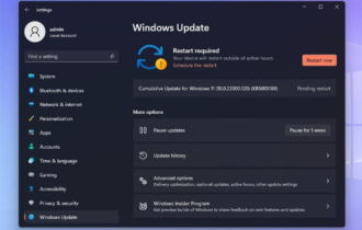Windows 10 Optional Update Policy