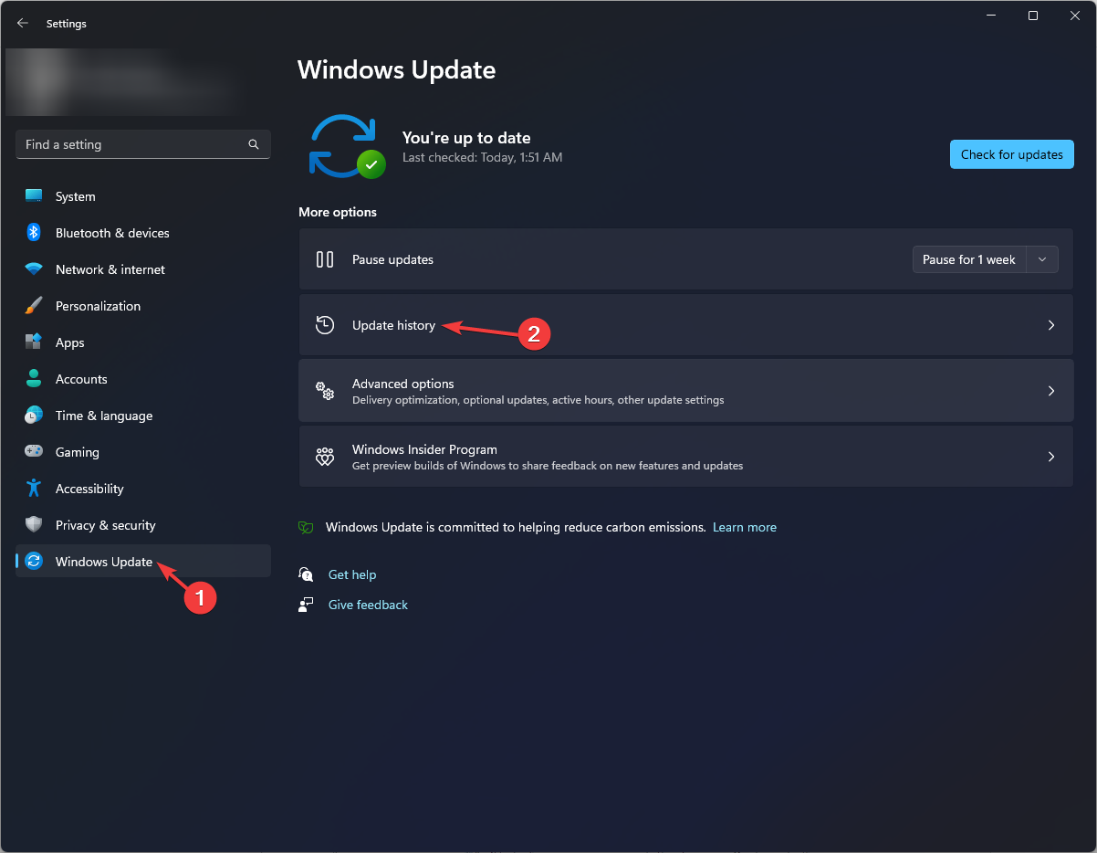 Windows Update 2 - istoricul actualizărilor - Eroare sistem de fișiere-2147163890