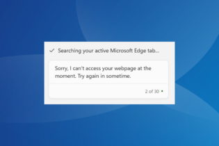 Sorry, I Can't Access Your Webpage at The Moment [5 Fixes]