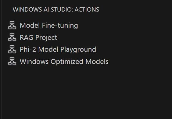 Windows AI Studio preview