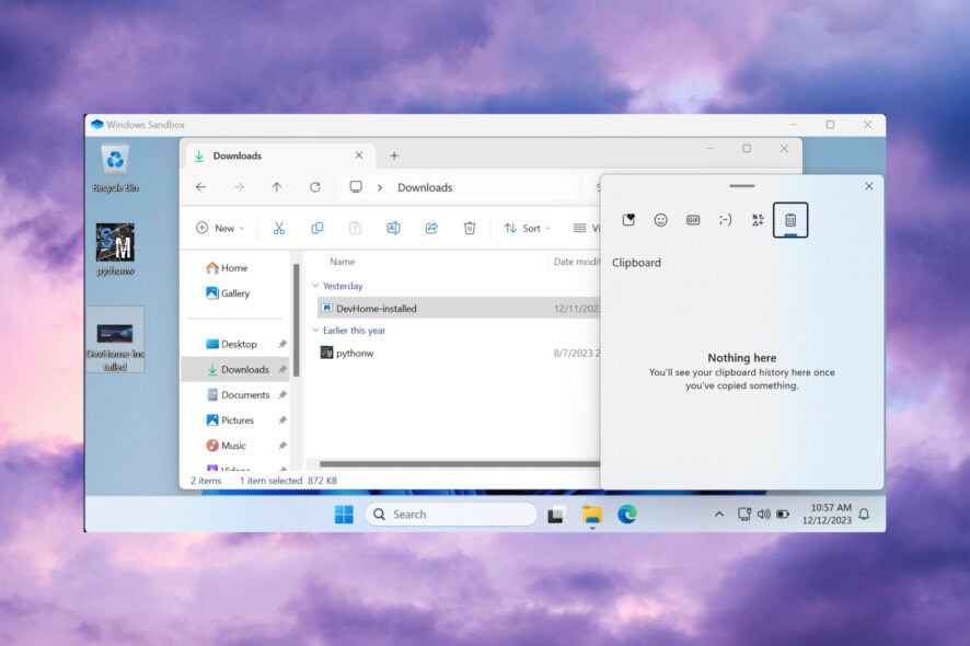 What to do if Windows Sandbox copy paste is not working
