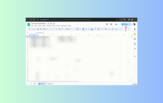 Share -Give Edit Access to Google Sheets