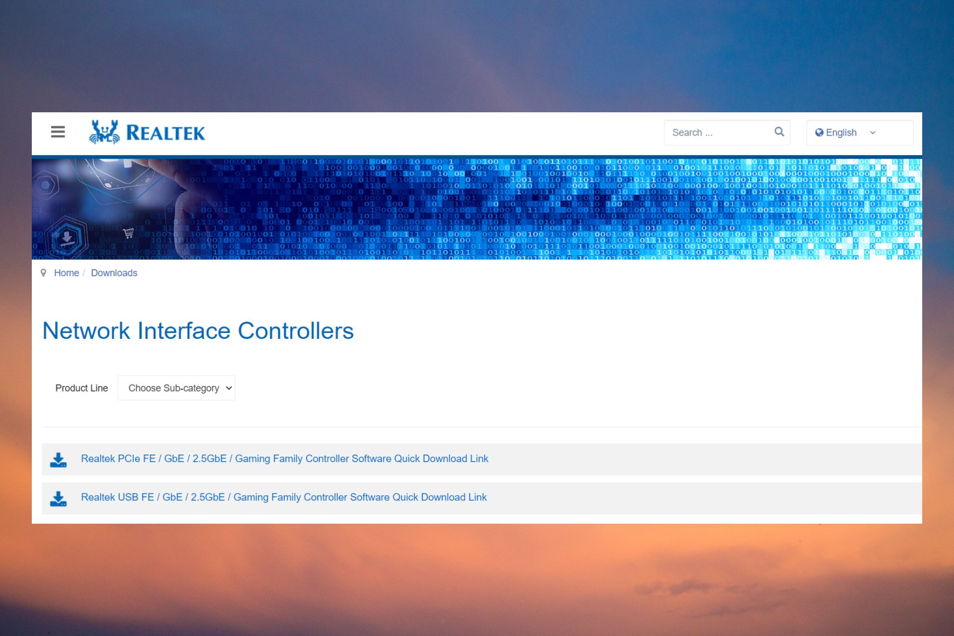Get the Latest Realtek Wi-Fi Driver for Windows 11 [HP, Asus, Dell, Lenovo]