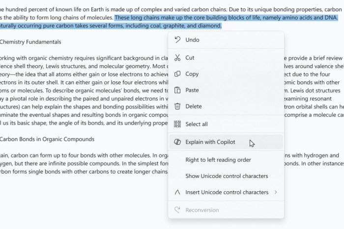 notepad explain with copilot