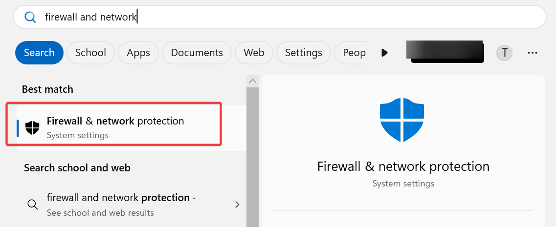 firewall and network protection in search