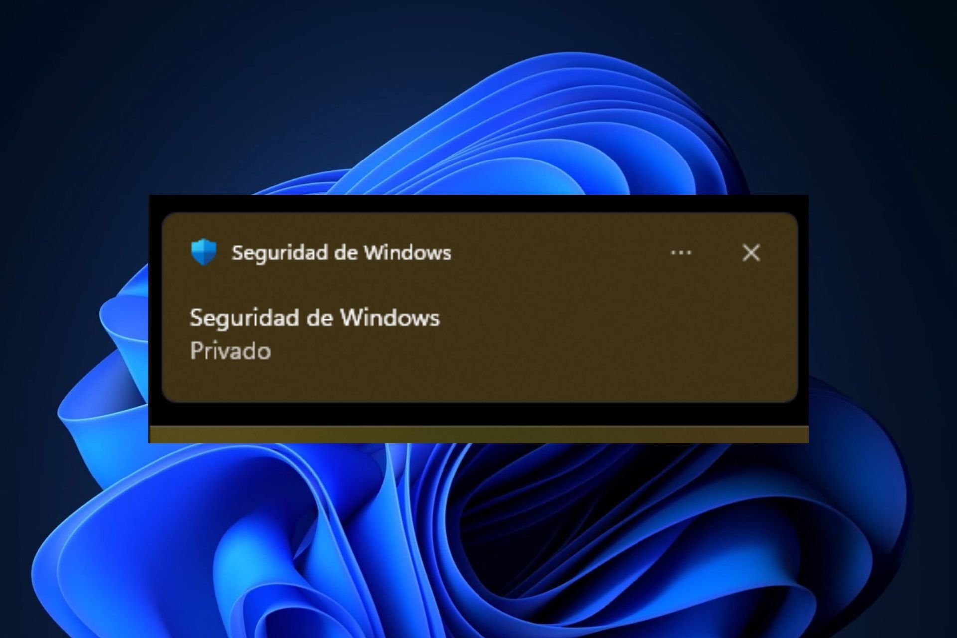 windows 11 notifications private
