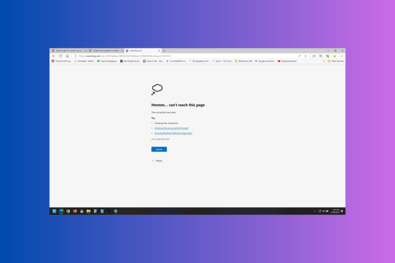 How to mount read or format ext4 on windows 11 2024 guide 
