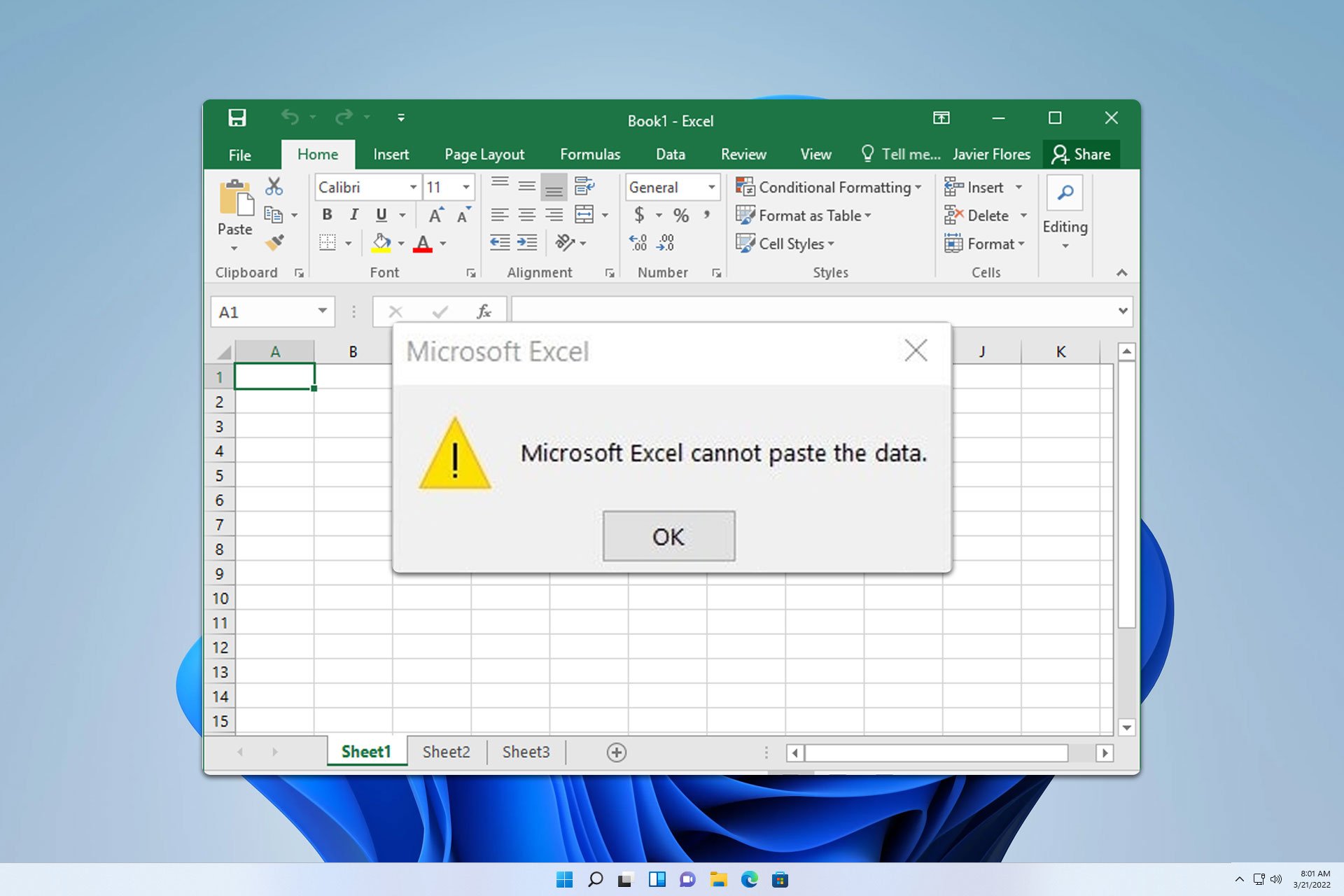microsoft excel cannot paste the data
