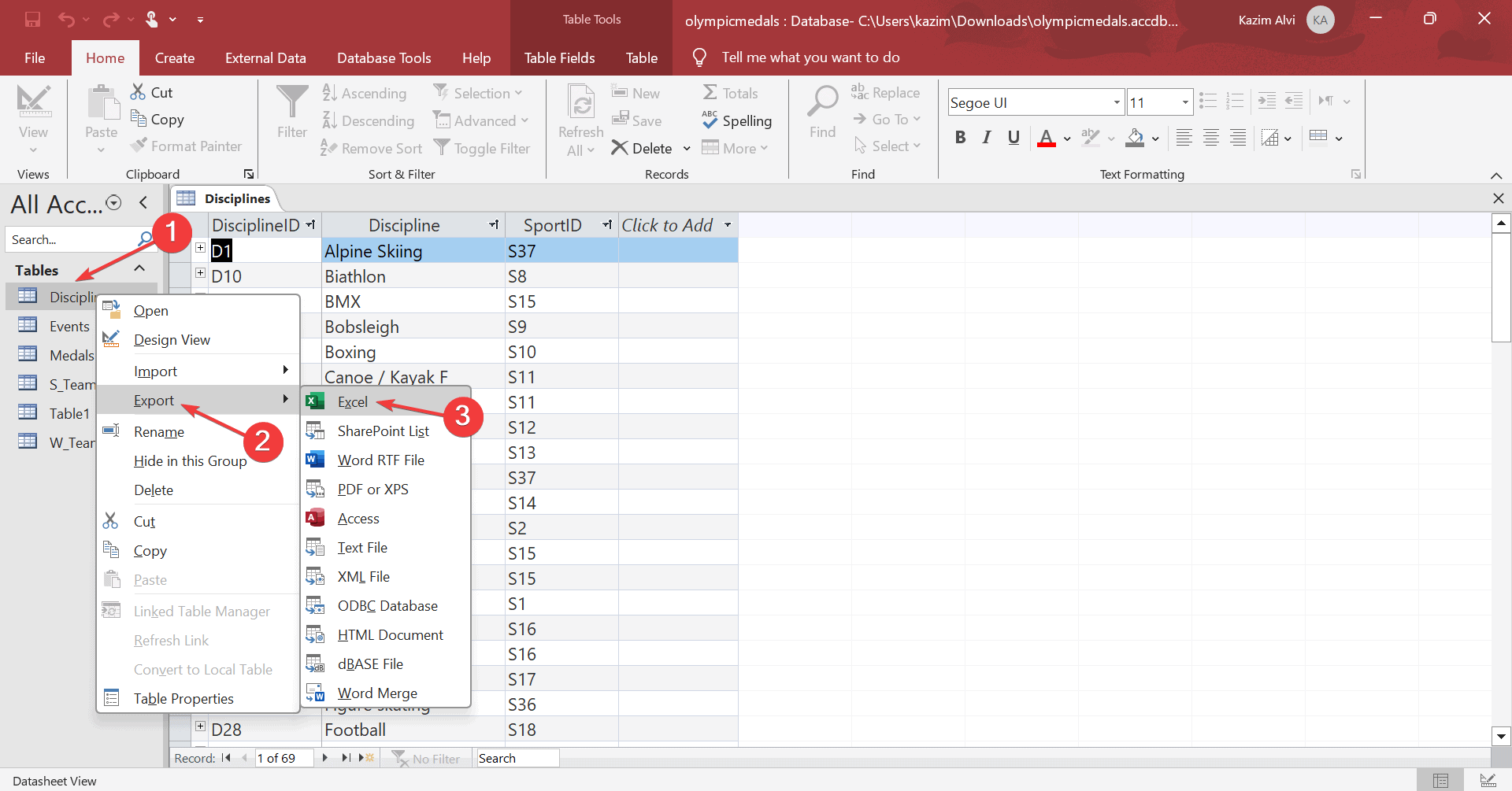 export accdb to excel