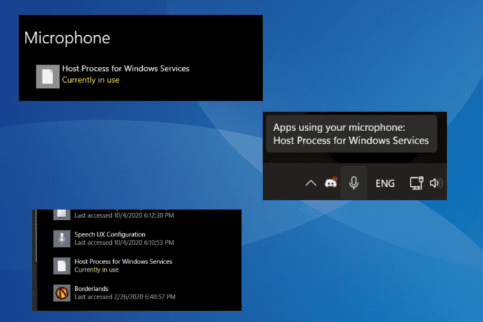 host process for windows services using microphone