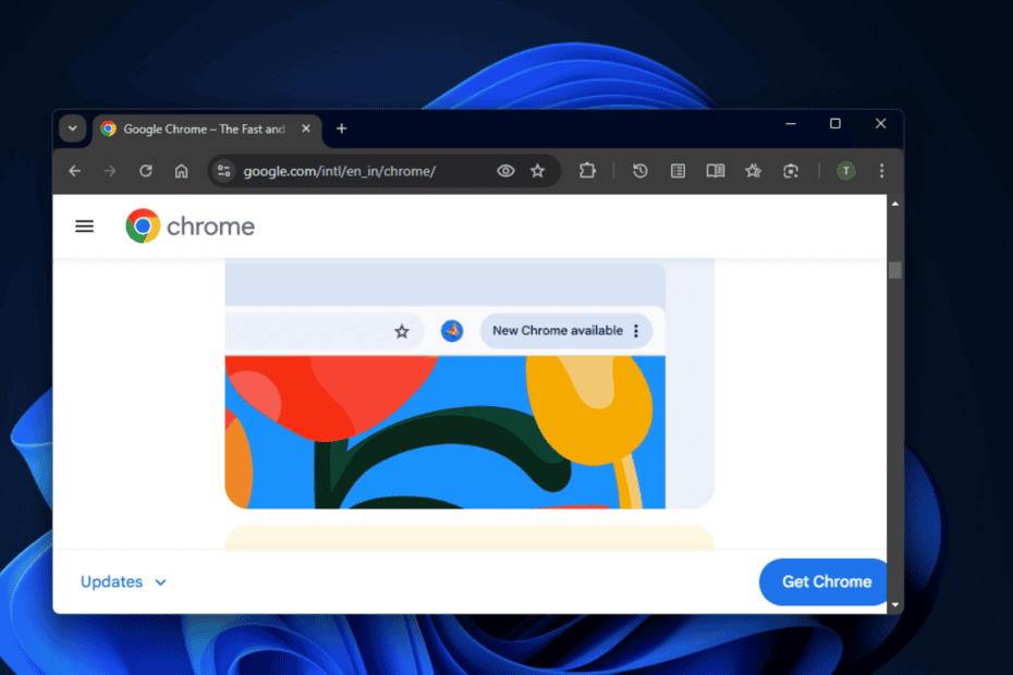 Tidio for windows how to download install 