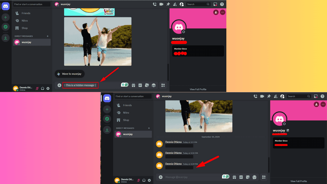 Discord Hide Text