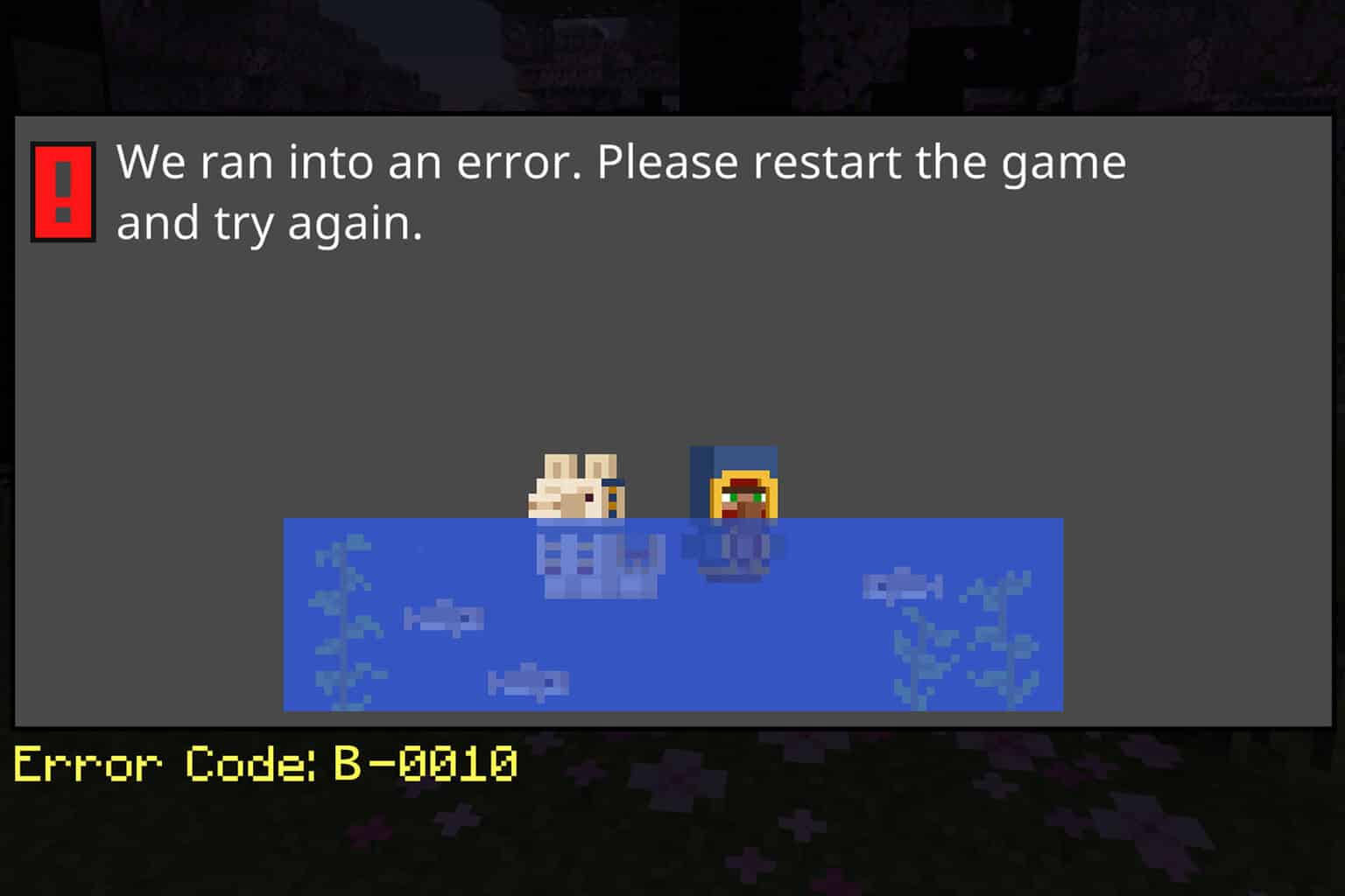 minecraft error b-0010