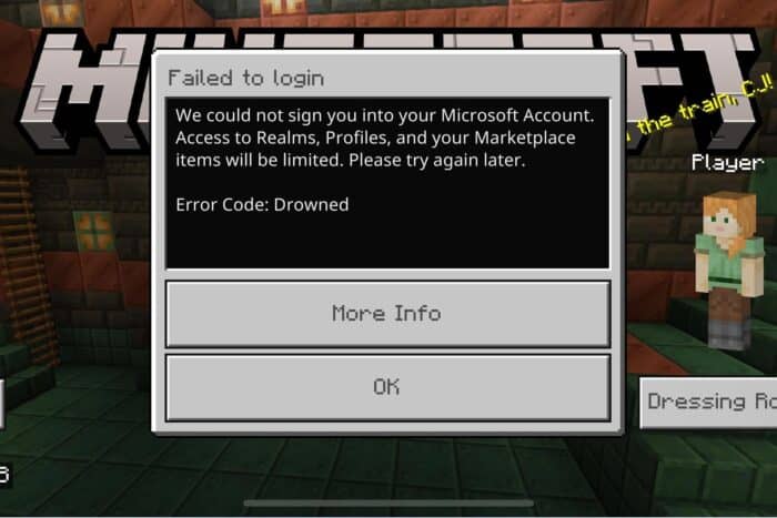 minecraft error code drowned switch