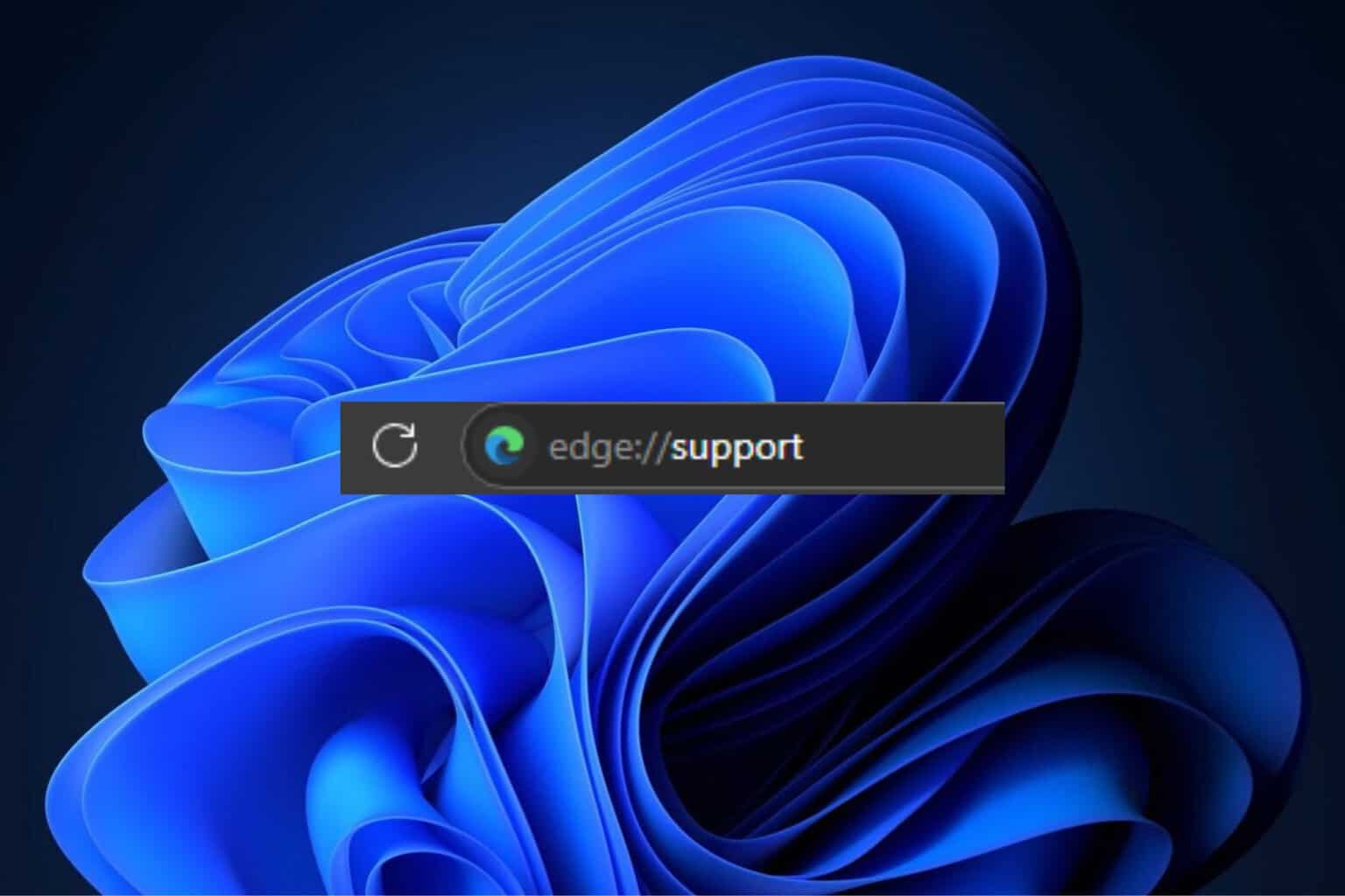 Microsoft Edge Support