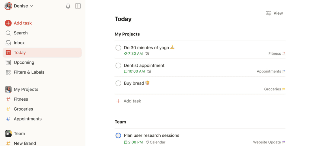 todoist interface