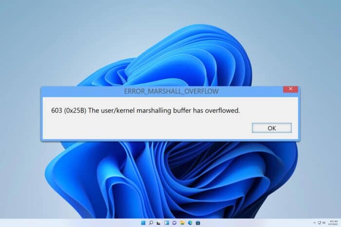 ERROR_MARSHALL_OVERFLOW