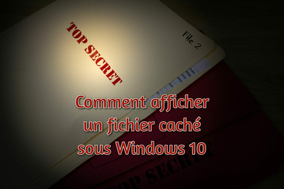 comment afficher fichier caché windows 10