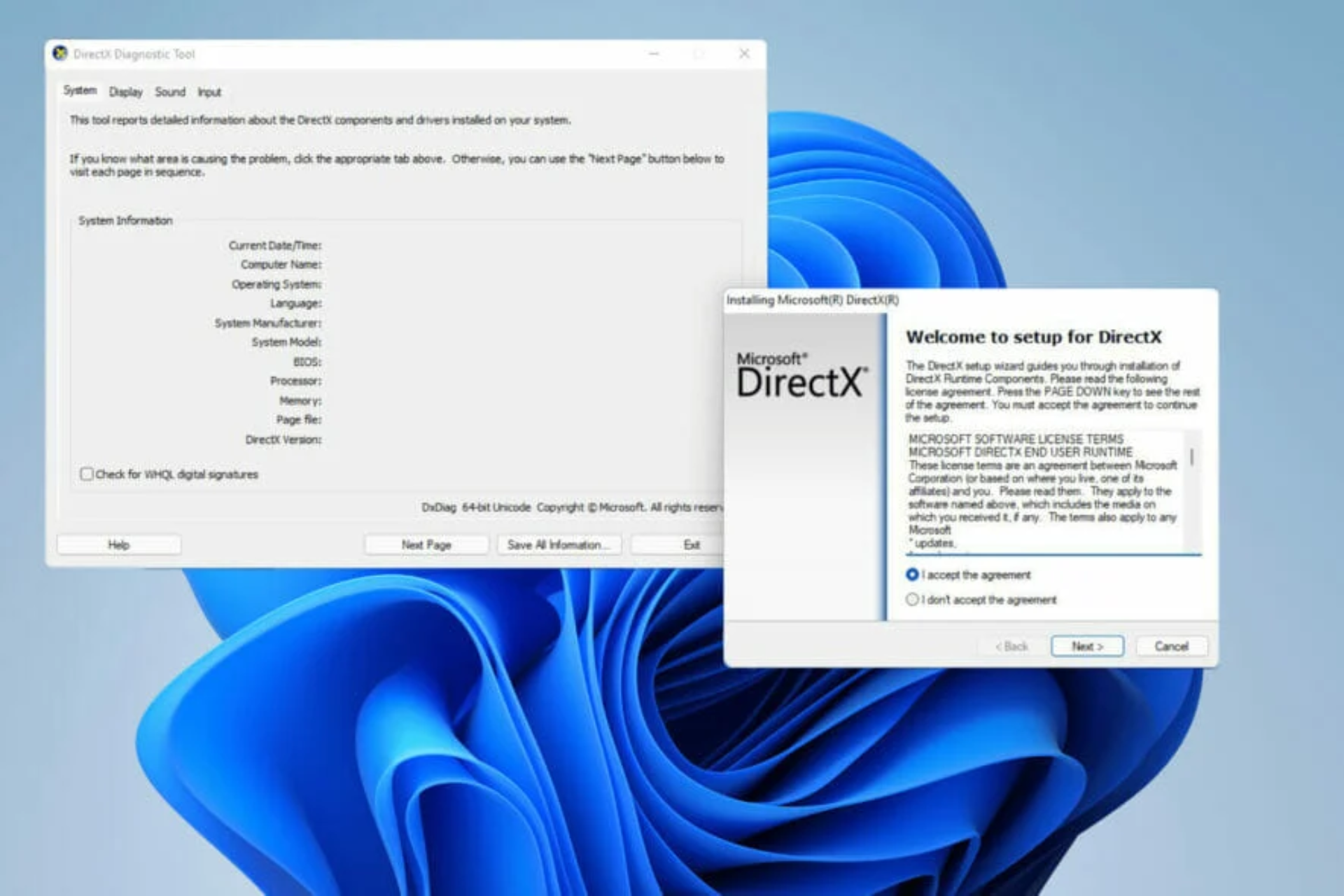 error directx windows 11